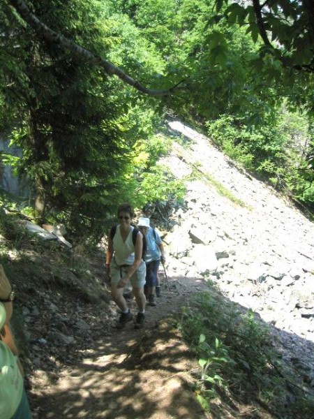 ../Images/e Passage d un pierrier sur le sentier des Roches 2.jpg